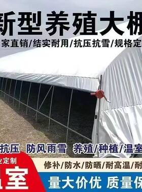 钢管养殖大棚支架全套防晒隔热