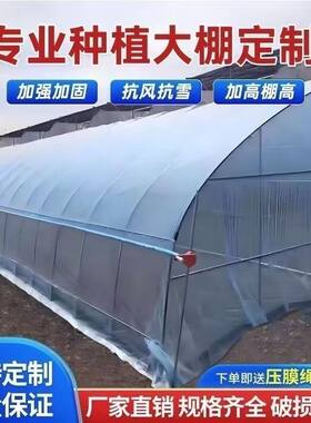 种植大棚全套骨架蔬菜育苗棚温室养殖大棚一整套钢架支架鸡棚猪棚