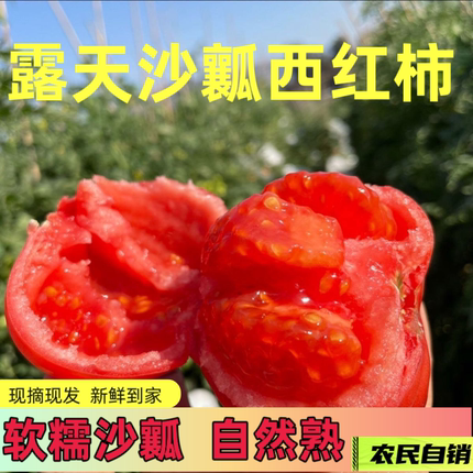 宁夏西红柿新鲜自然熟沙瓤生吃老品种粉果番茄非普罗旺斯铁皮草莓