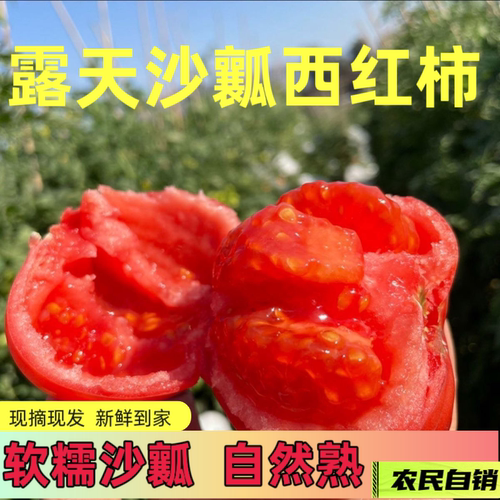宁夏西红柿新鲜自然熟沙瓤生吃