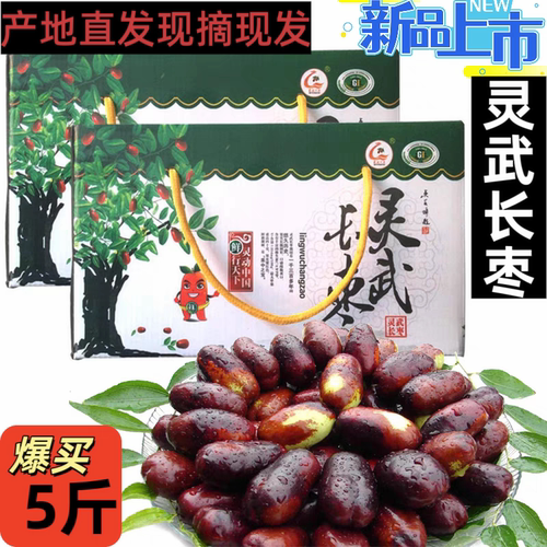 航空包邮宁夏灵武长枣现摘水果脆甜大枣鲜长红枣非冬枣1/5斤