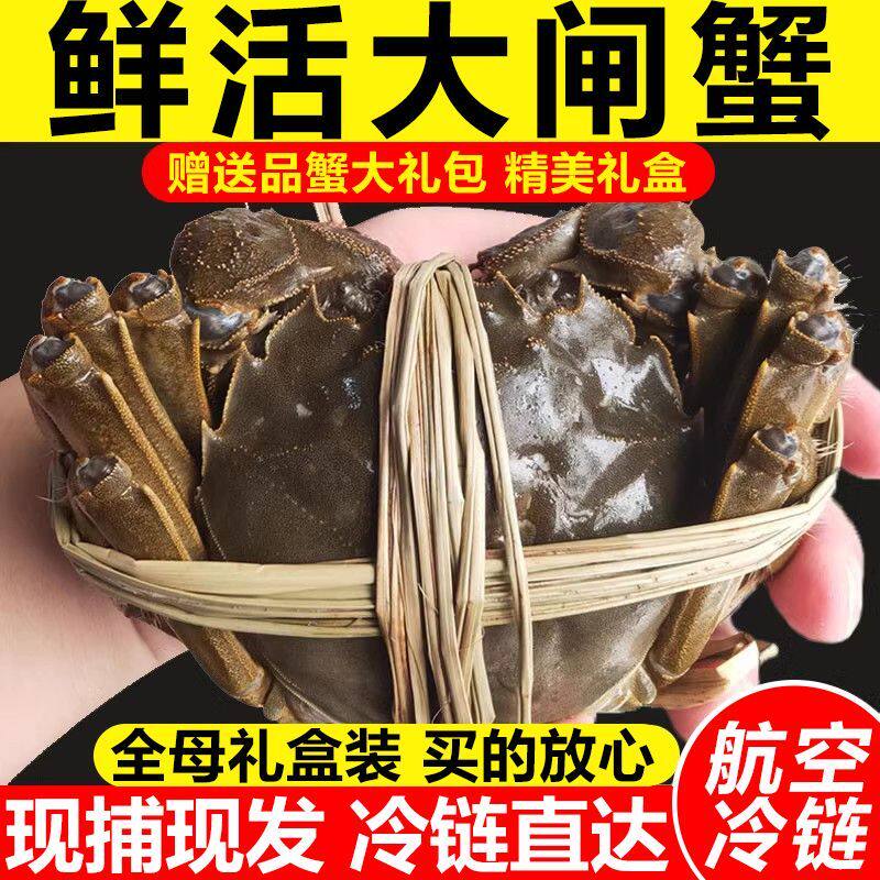 中秋送礼鲜活大闸蟹新鲜全母蟹海鲜水产河蟹洪泽湖大螃蟹礼盒包邮