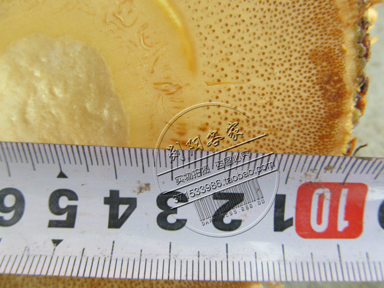 BAMBOO ROOT BRACELET RAW MATERIALS CAVIAR BRACELET MATERIALS COASTER MATERIALS BRACELET MATERIALS CHAPTER MATERIALS