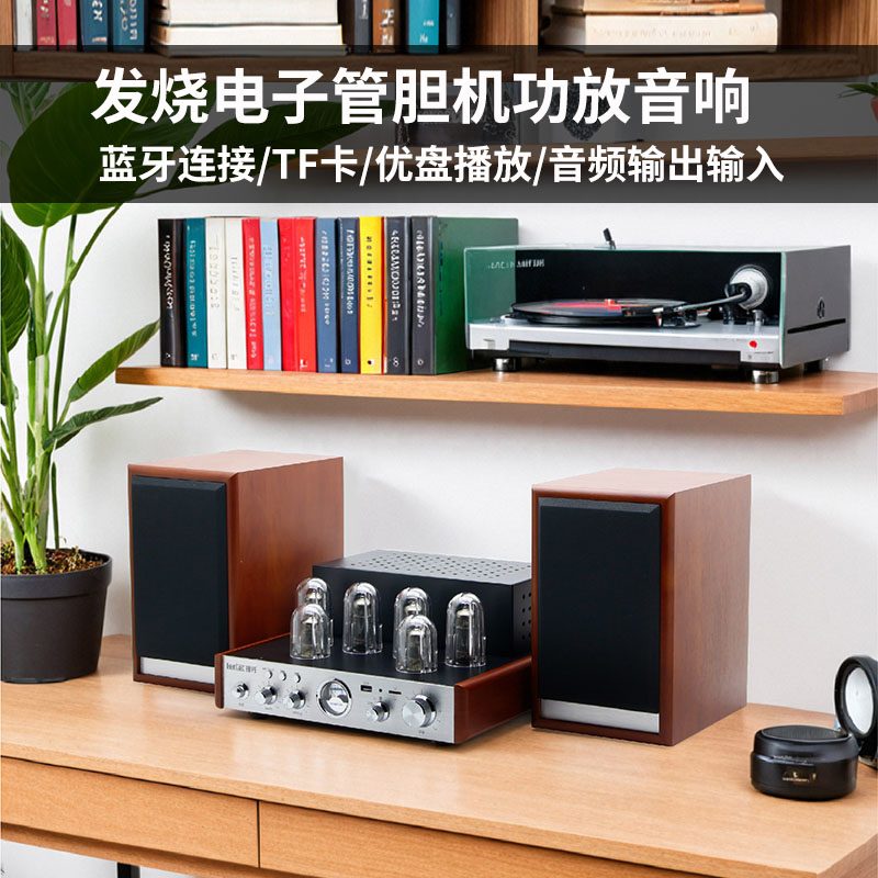 发烧级胆机功放音响无线蓝牙优盘高端电子管功放HIFI纯胆机大功率