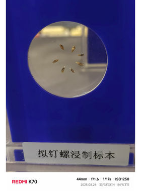 卓普生物浸制标本厂家直销
