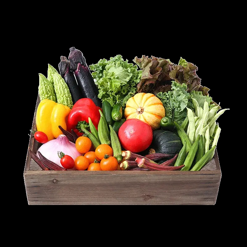 山东达到有机标准蔬菜绿色无公害无污染蔬菜5斤10斤月卡发4次