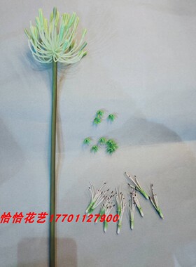 恰恰花艺丝网花材料丝袜花 仿真百子莲34花骨朵枝 百子莲花芯花托