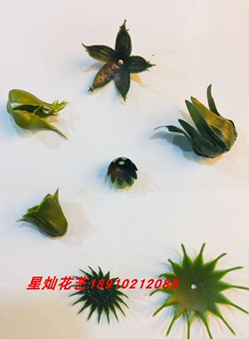 材料新款软胶非洲菊包邮丝网花