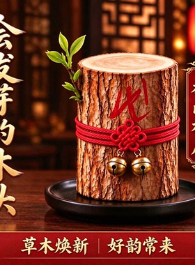 【雷击香龙木】龙虎山能开花的香龙血会发芽的树木头摆件