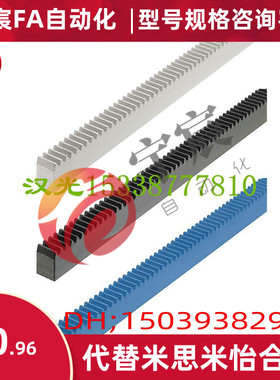 RGEA1.0-100-300-500-N/RGEAR1.0-100-300-500-N直齿条