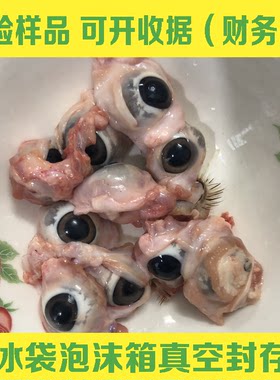 【医用】顺丰包邮10颗 新鲜猪眼睛 猪眼泪 眼珠子 【医用】