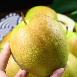 2025山西原平特产正宗精选玉露香梨脆甜多汁皮薄无渣产地直发包邮