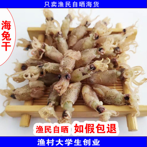 海兔小鱿鱼海鲜渔民自晒