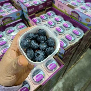 佳沃蓝莓杯L25 中大果一箱12杯 60g 包邮 杯辽宁 大连现货
