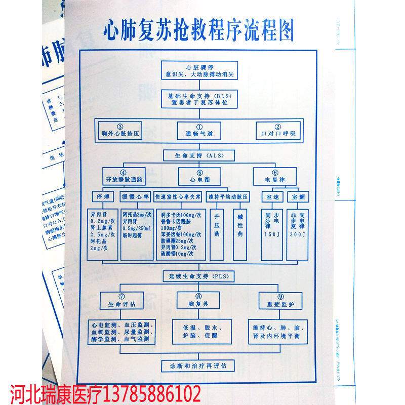 心肺复苏抢救程序流程图医院急诊抢救挂图表墙贴医用护士展示宣传