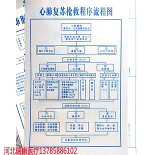 心肺复苏抢救程序流程图医院急诊抢救挂图表墙贴医用护士展示宣传