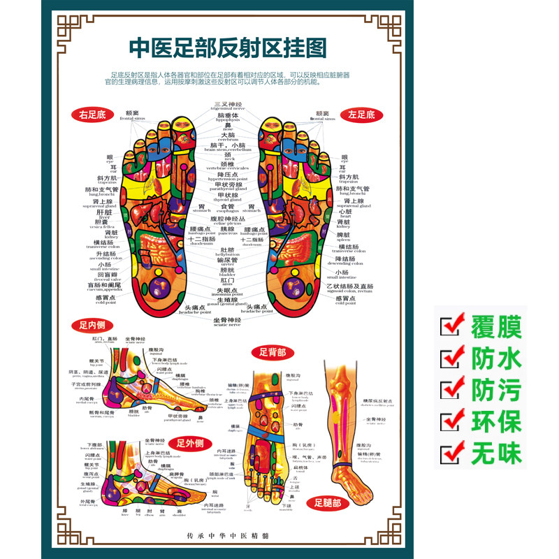 足疗足底按摩穴位图中医养生