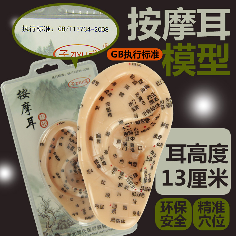 13厘米清晰刻字耳模型耳部模型按摩耳膜耳穴反射区耳朵人体保健