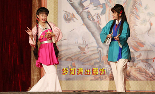 成人古装戏服丫鬟演出服黄梅戏对花丫扮相服装打猪草儿童花旦戏服