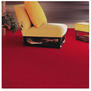 华德 简约舞蹈跳舞展厅教室加厚满铺地毯舞台展会卧室武术馆环保