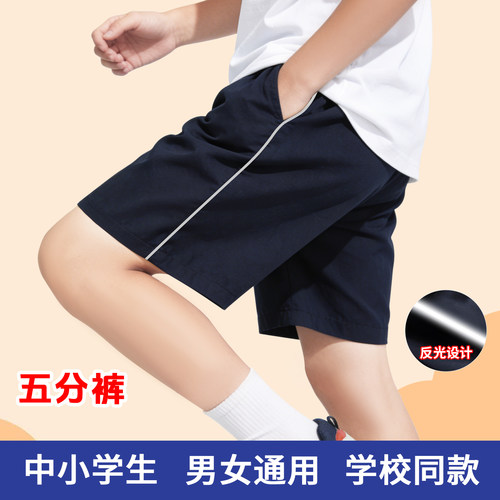 细灰反光条校裤一条杠五分裤南韩丝夏季薄款学生短裤校服裤子宽松
