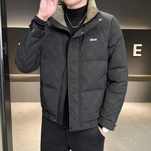 新款男士休闲立领羽绒服YRF8068-P140图片