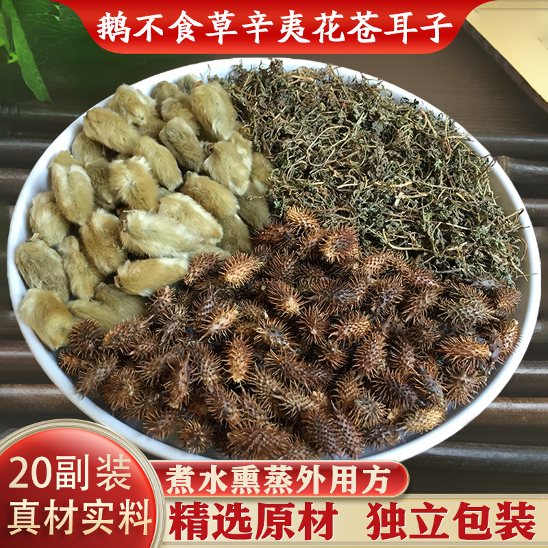 鹅不食草辛夷花苍耳子鼻炎方