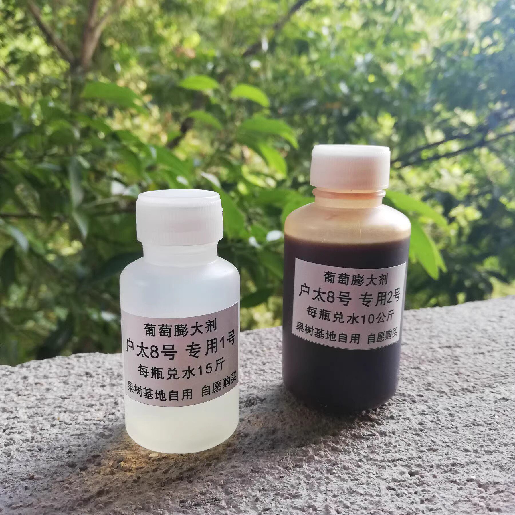 户太8号 葡萄膨大剂膨大素调节剂去核保果膨大软梗不裂果果粉好