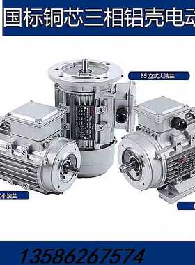 YS8022 1100W-2级三相电动机铝壳铜线国标380V19轴0.11kw立式380v