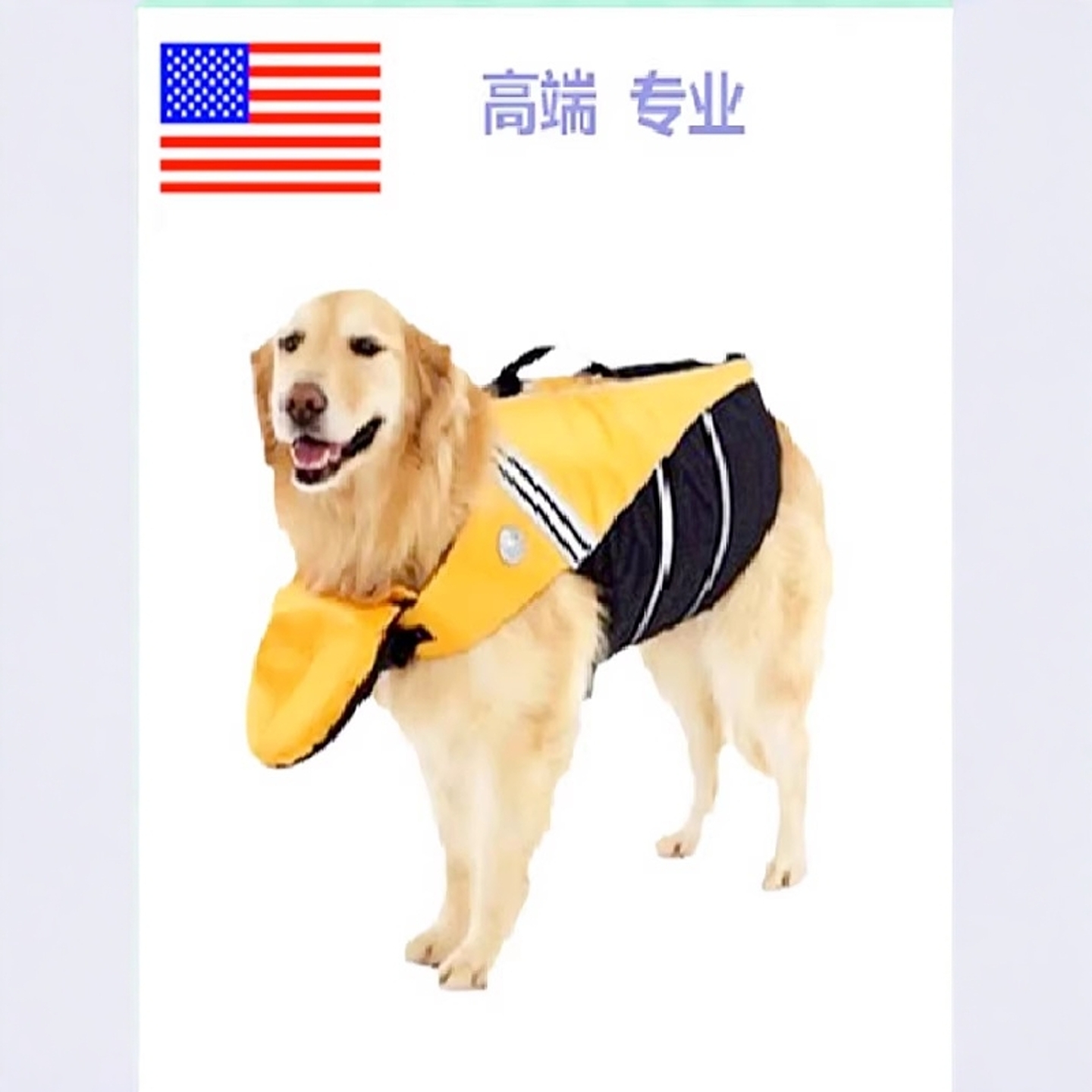 狗狗游泳衣泰迪衣服安全防溺水