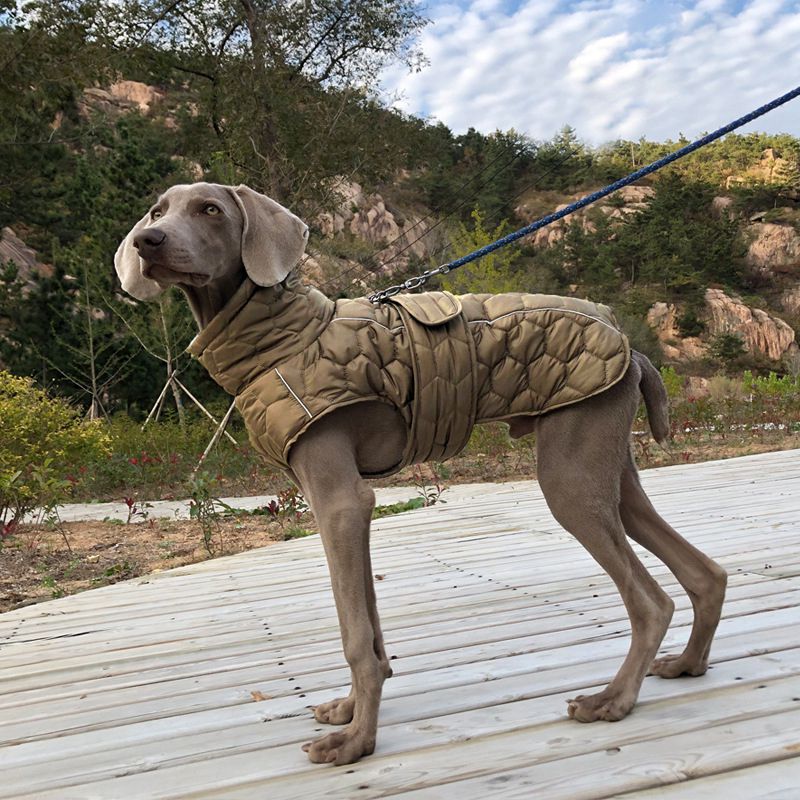 中大型犬反光防水狗狗衣服加厚