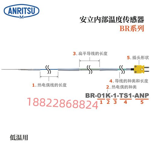 日本ANRITSU安立温度计传