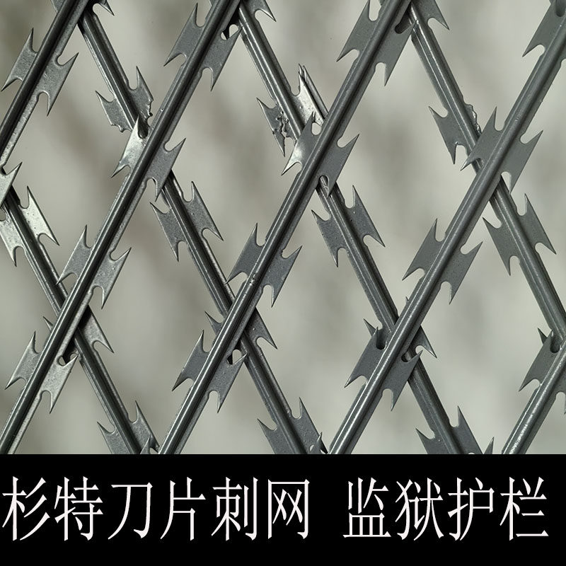 监狱刀片刺网热镀锌不锈钢菱形钢网墙看守所通道防攀爬隔离防护栏