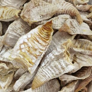 永泰玉兰片500g麻笋干福建农家自制嫩笋干春笋笋尖