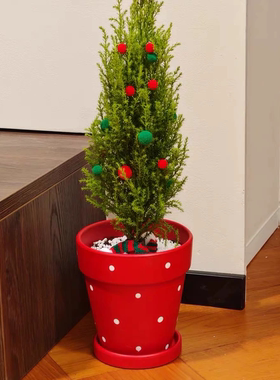 创意手绘红陶盆小众艺术感秋海棠多肉兰花可爱有趣红陶盆