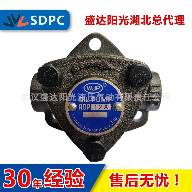 ROP12A TOP12A 三角泵摆线齿轮 油泵电机机组