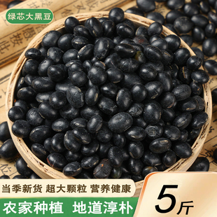 绿芯大黑豆新货5斤大黑豆青仁绿心黑豆子打豆浆醋泡乌豆五谷杂粮