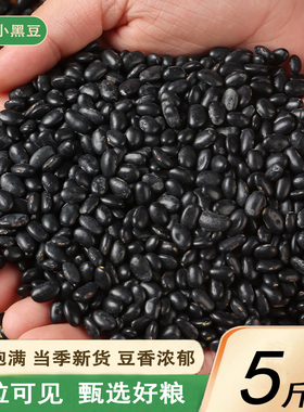 新货肾形黄芯小黑豆5斤农家自产老品种黄心黑小豆五谷杂粮包邮