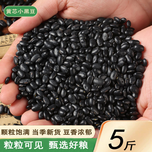 新货肾形黄芯小黑豆5斤农家自产
