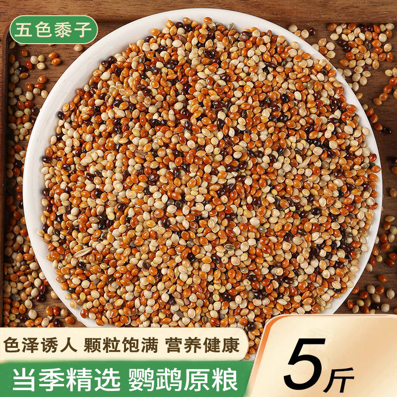 新货五色黍子虎皮牡丹玄凤中小型鹦鹉原粮鹦鹉混合粮谷子包邮 - 实物图