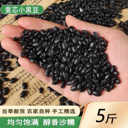 东北肾形黄芯小黑豆5斤新货