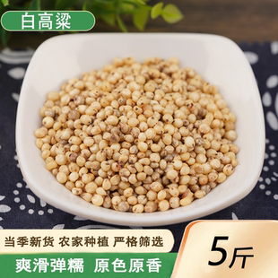 白高粱 5斤带壳白高粱大型鹦鹉鸟食仓鼠食鸽子食鸽子饲料