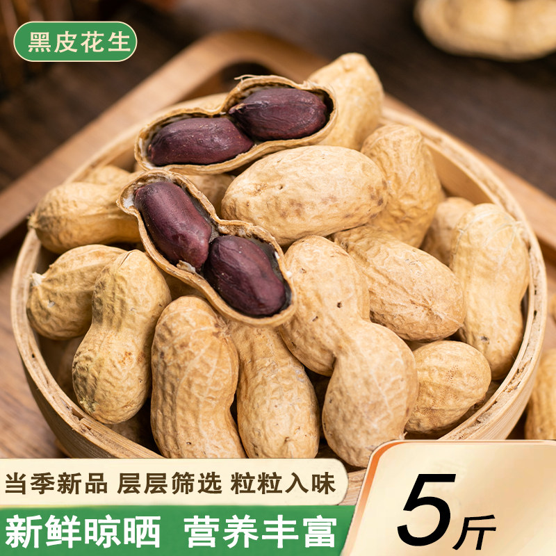 新货云南生的带壳黑花生5斤农家自产25年大粒新鲜带壳紫花生晒干