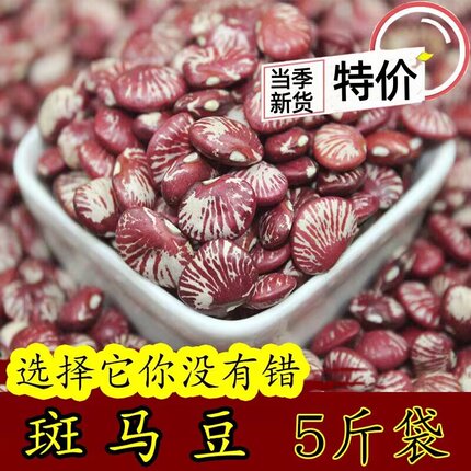 东北斑马豆5斤 农家新货荷花豆 花豆 小扁豆小肾豆 饭豆芸豆