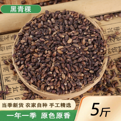 黑青稞米煮粥生杂粮青稞