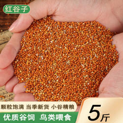 红谷子虎皮鹦鹉5斤鸟食玄凤文鸟带壳小米鸟料谷子麻料