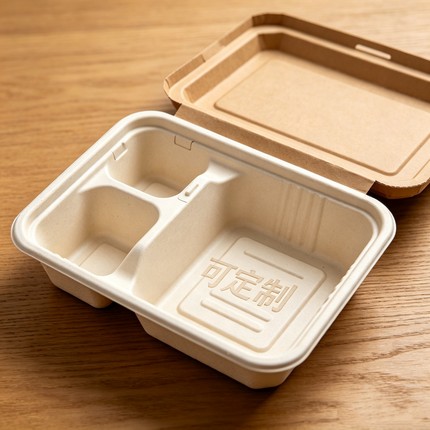 一次性可降解餐盒干湿分格饭盒露营高铁野餐环保打包盒可印刷logo