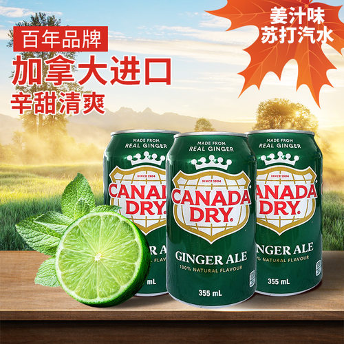 加拿大Canada dry Ginger Ale姜汁味汽水姜汁饮料罐装355ml