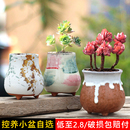 创意个性 透气多肉植物花盆单棵群生中小号粗陶控养陶瓷特价 拇指盆