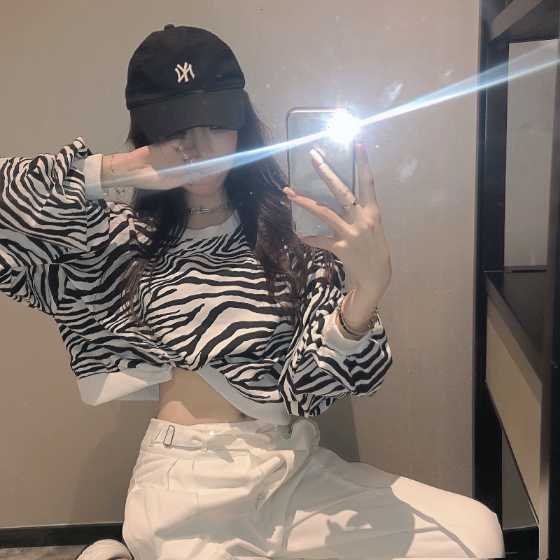 Real shot real price autumn new cool lazy zebra striped Street sweater women's loose and versatile short long sleeve top